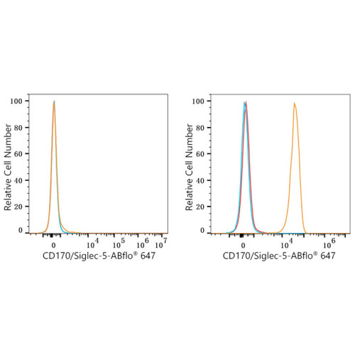 ABflo® 647 Rabbit anti-Human CD170/Siglec-5 mAb