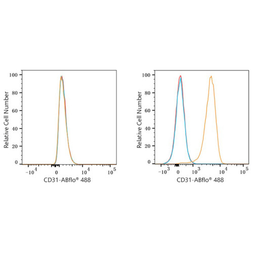 ABflo® 488 Rabbit anti-Mouse/Rat CD31/PECAM1 mAb