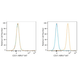 ABflo® 647 Rabbit anti-Mouse/Rat CD31/PECAM1 mAb