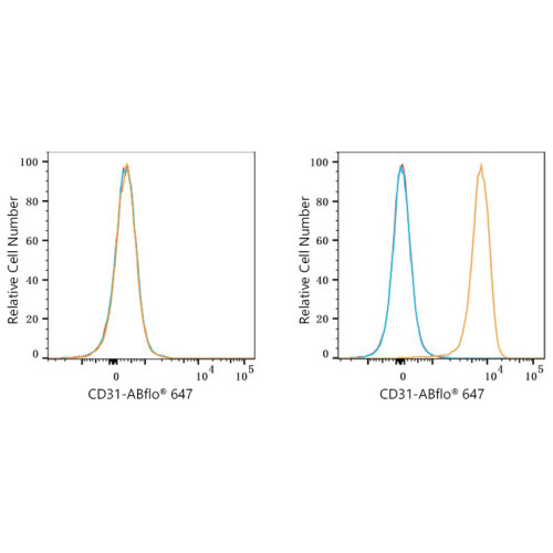 ABflo® 647 Rabbit anti-Mouse/Rat CD31/PECAM1 mAb