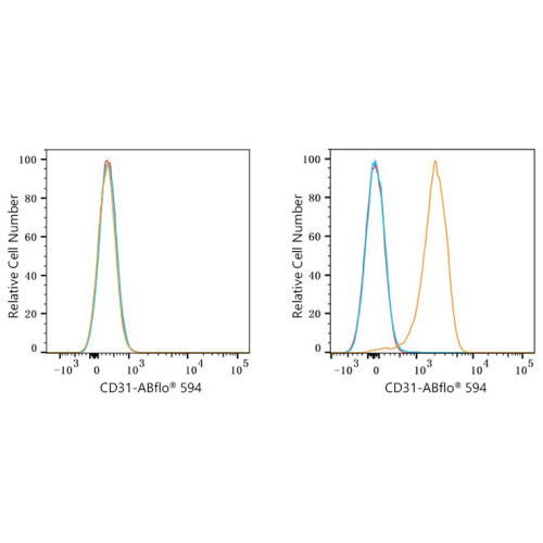 ABflo® 594 Rabbit anti-Mouse/Rat CD31/PECAM1 mAb