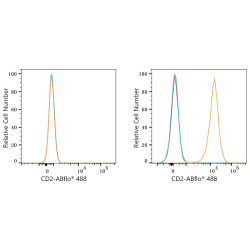 ABflo® 488 Rabbit anti-Mouse CD2 mAb