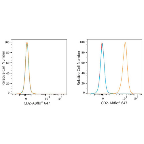 ABflo® 647 Rabbit anti-Mouse CD2 mAb