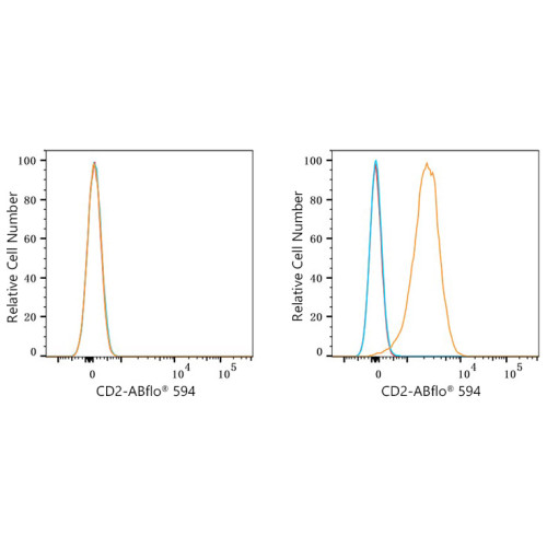 ABflo® 594 Rabbit anti-Mouse CD2 mAb