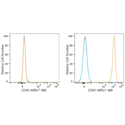 ABflo® 488 Rabbit anti-Mouse CD45 mAb
