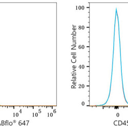 ABflo® 647 Rabbit anti-Mouse CD45 mAb