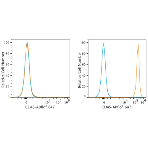 ABflo® 647 Rabbit anti-Mouse CD45 mAb