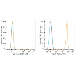 ABflo® 594 Rabbit anti-Mouse CD45 mAb
