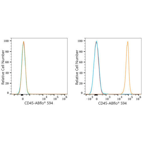 ABflo® 594 Rabbit anti-Mouse CD45 mAb