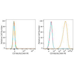 PE Rabbit anti-Human CD166/ALCAM mAb