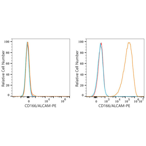 PE Rabbit anti-Human CD166/ALCAM mAb