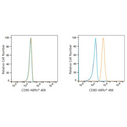 ABflo® 488 Rabbit anti-Human CD80/B7-1 mAb