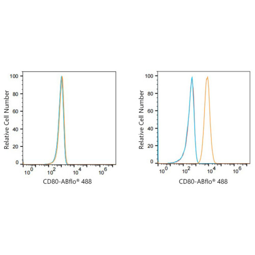 ABflo® 488 Rabbit anti-Human CD80/B7-1 mAb