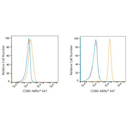 ABflo® 647 Rabbit anti-Human CD80/B7-1 mAb