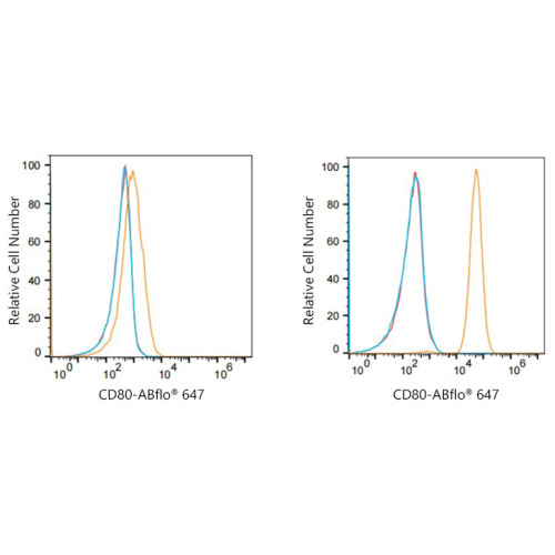ABflo® 647 Rabbit anti-Human CD80/B7-1 mAb