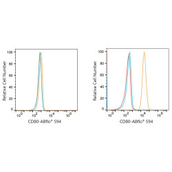 ABflo® 594 Rabbit anti-Human CD80/B7-1 mAb