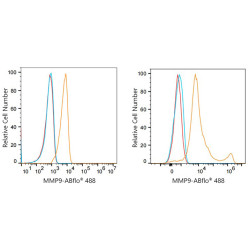 ABflo® 488 Rabbit anti-Human MMP9 mAb