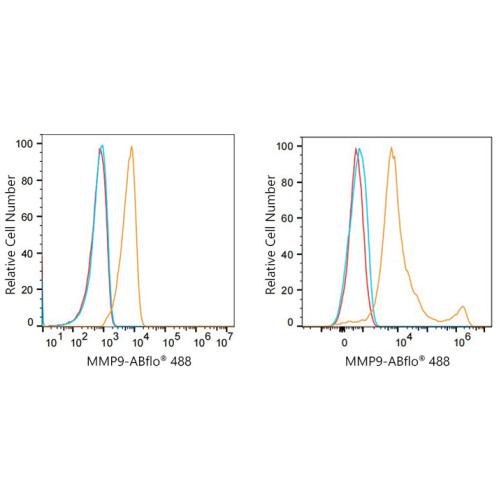 ABflo® 488 Rabbit anti-Human MMP9 mAb