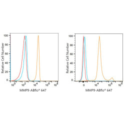ABflo® 647 Rabbit anti-Human MMP9 mAb