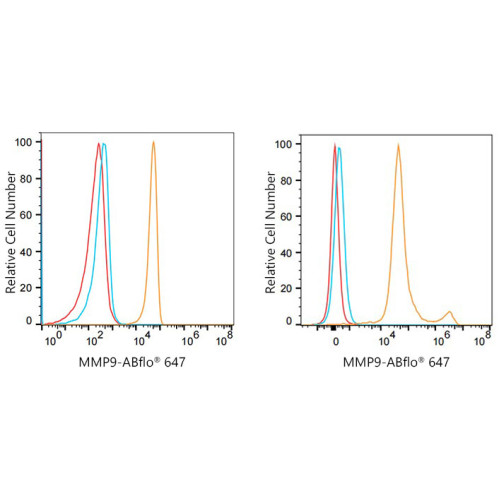 ABflo® 647 Rabbit anti-Human MMP9 mAb