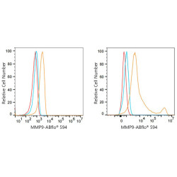 ABflo® 594 Rabbit anti-Human MMP9 mAb