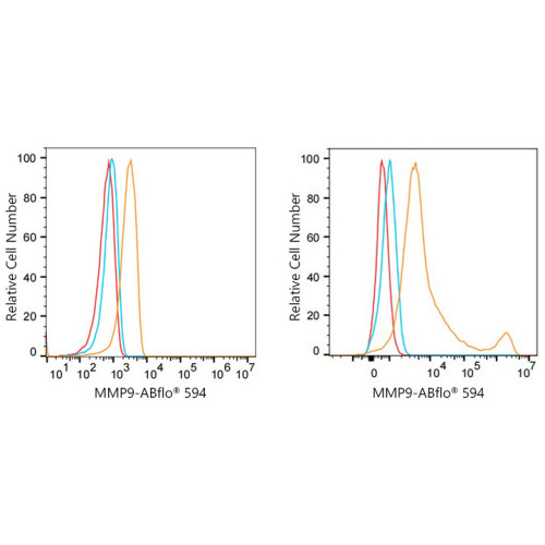 ABflo® 594 Rabbit anti-Human MMP9 mAb