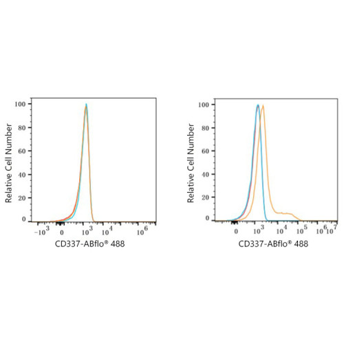 ABflo® 488 Rabbit anti-Human CD337/NKp30 mAb