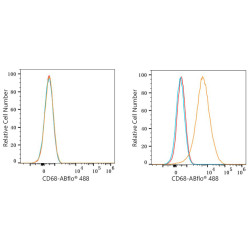 ABflo® 488 Rabbit anti-Mouse CD68 mAb