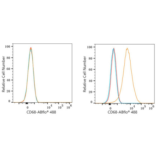 ABflo® 488 Rabbit anti-Mouse CD68 mAb
