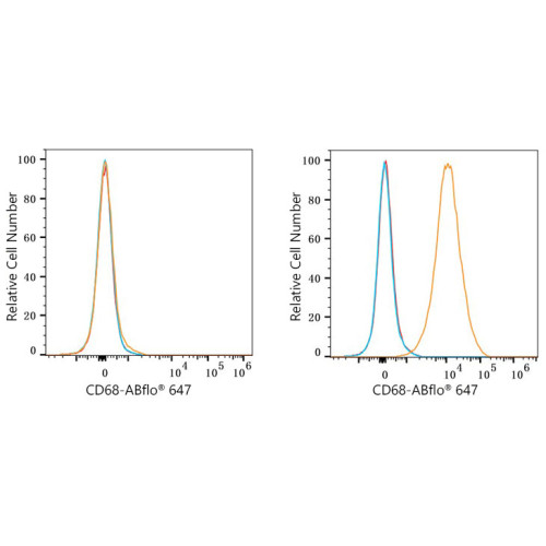 ABflo® 647 Rabbit anti-Mouse CD68 mAb