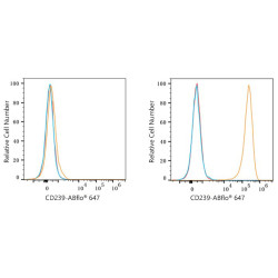 ABflo® 647 Rabbit anti-Human CD239/BCAM mAb