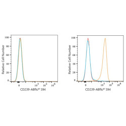 ABflo® 594 Rabbit anti-Human CD239/BCAM mAb