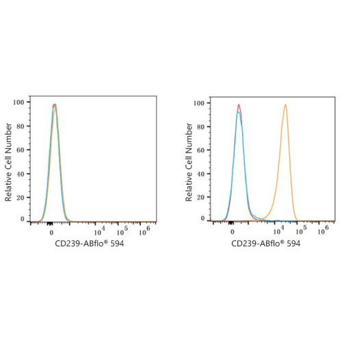 ABflo® 594 Rabbit anti-Human CD239/BCAM mAb