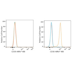 ABflo® 488 Rabbit anti-Human CD38 mAb