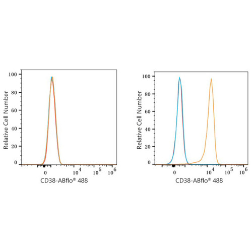 ABflo® 488 Rabbit anti-Human CD38 mAb