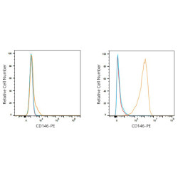 PE Rabbit anti-Human CD146 mAb