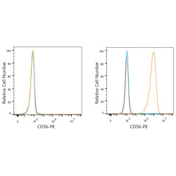 PE Rabbit anti-Mouse NCAM mAb