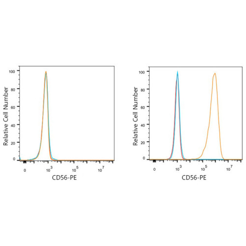 PE Rabbit anti-Mouse NCAM mAb