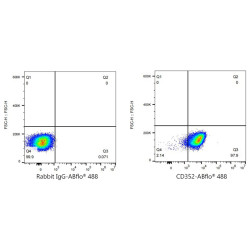 ABflo® 488 Rabbit anti-Human CD352/SLAMF6 mAb