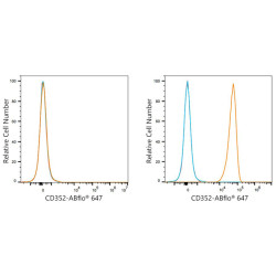 ABflo® 647 Rabbit anti-Human CD352/SLAMF6 mAb