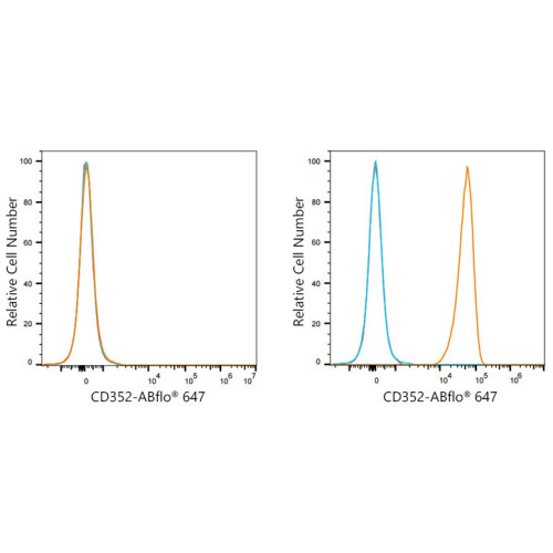 ABflo® 647 Rabbit anti-Human CD352/SLAMF6 mAb