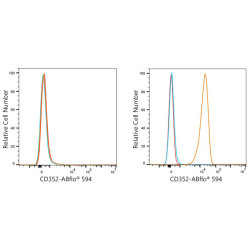 ABflo® 594 Rabbit anti-Human CD352/SLAMF6 mAb