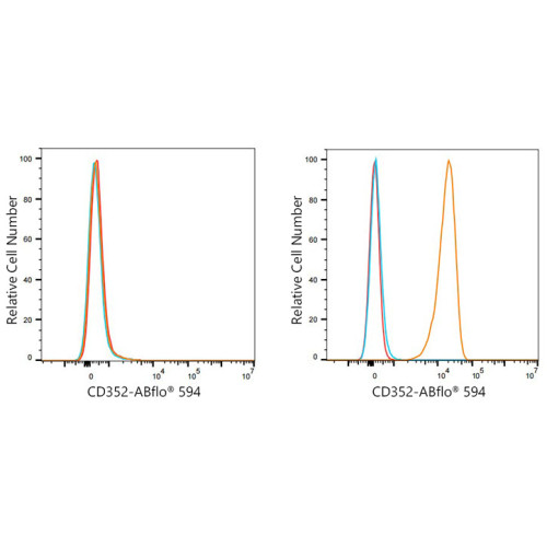 ABflo® 594 Rabbit anti-Human CD352/SLAMF6 mAb