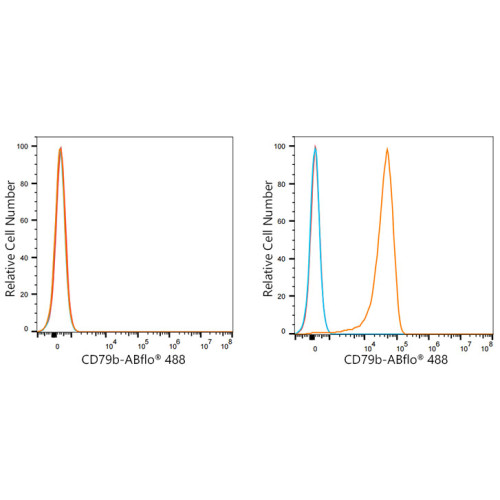 ABflo® 488 Rabbit anti-Human CD79b mAb