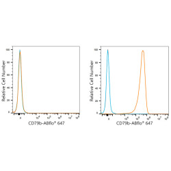 ABflo® 647 Rabbit anti-Human CD79b mAb