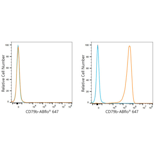 ABflo® 647 Rabbit anti-Human CD79b mAb