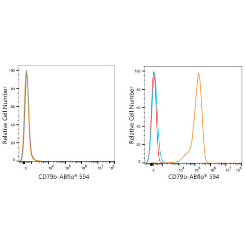 ABflo® 594 Rabbit anti-Human CD79b mAb