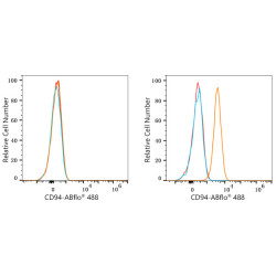 ABflo® 488 Rabbit anti-Human CD94 mAb