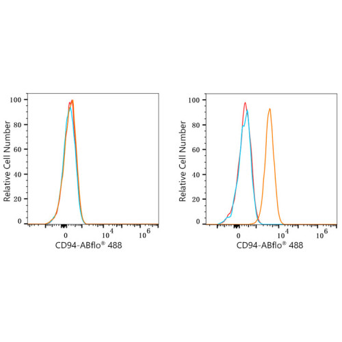 ABflo® 488 Rabbit anti-Human CD94 mAb