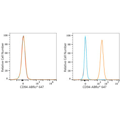 ABflo® 647 Rabbit anti-Human CD94 mAb